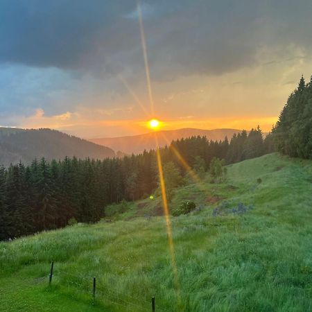 Forsthaus Gray 4 Villa Sankt Veit an der Glan Dış mekan fotoğraf