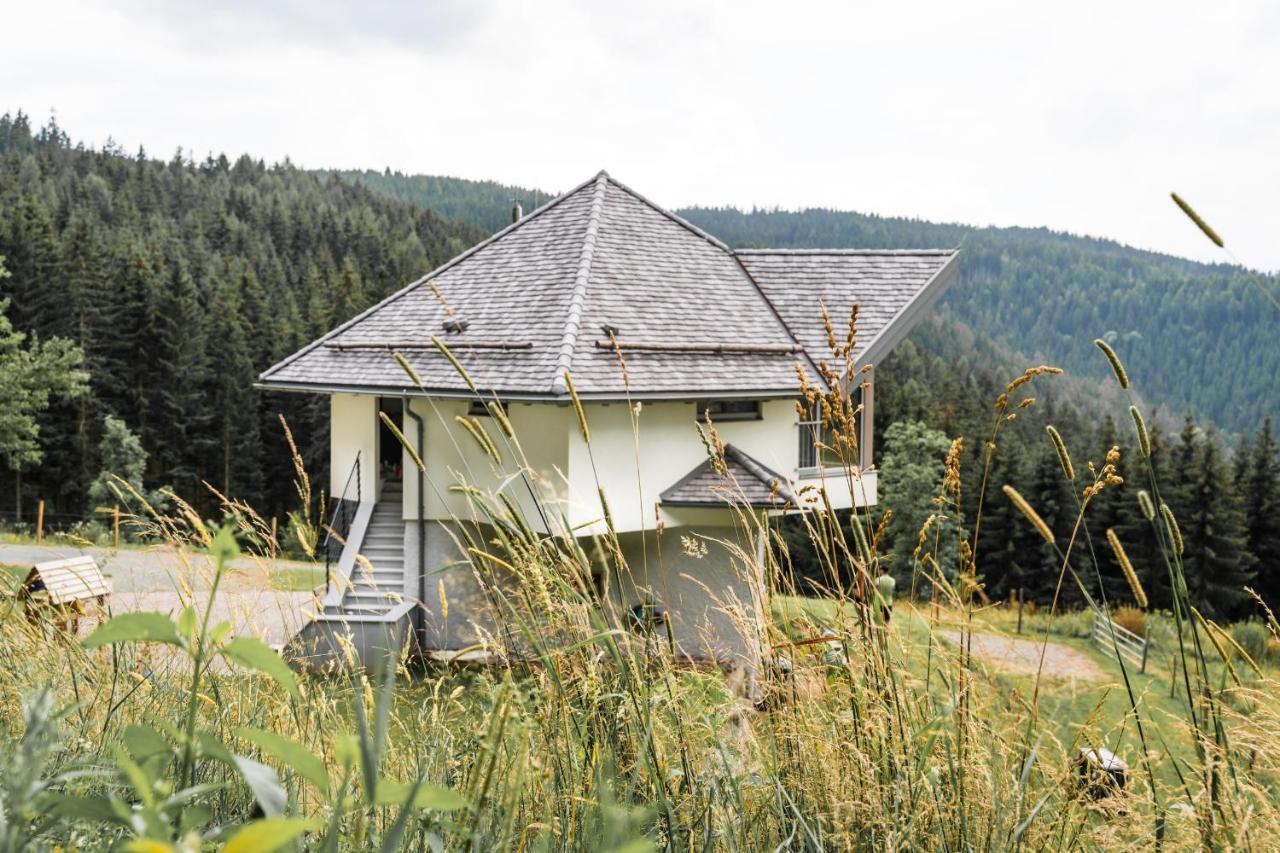 Forsthaus Gray 4 Villa Sankt Veit an der Glan Dış mekan fotoğraf