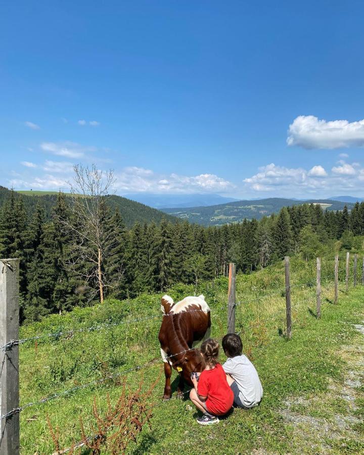 Forsthaus Gray 4 Villa Sankt Veit an der Glan Dış mekan fotoğraf