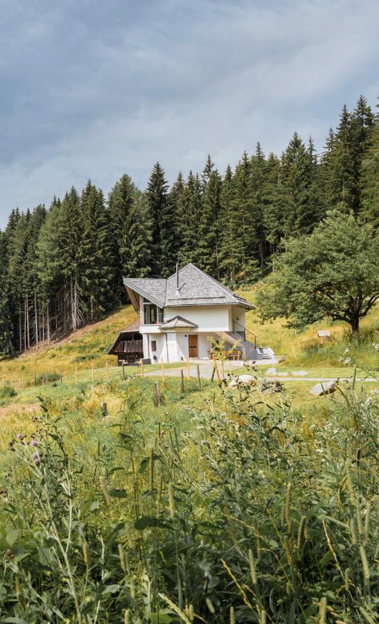 Forsthaus Gray 4 Villa Sankt Veit an der Glan Dış mekan fotoğraf